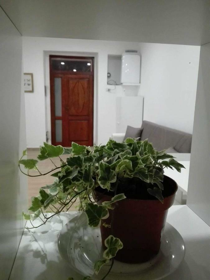 Al Centro Di Cagliari Apartment Exterior foto